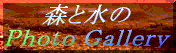 XƐ̂of